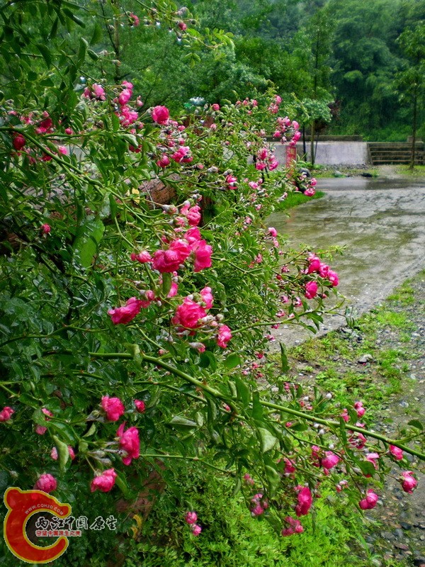 DSCN4407.JPG