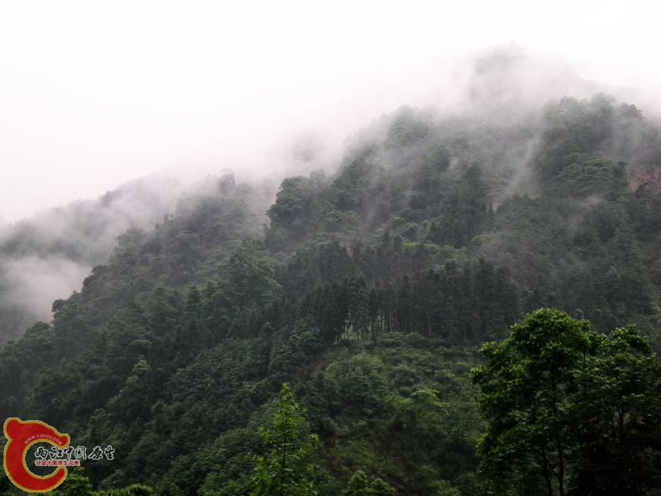 DSCN4416.JPG
