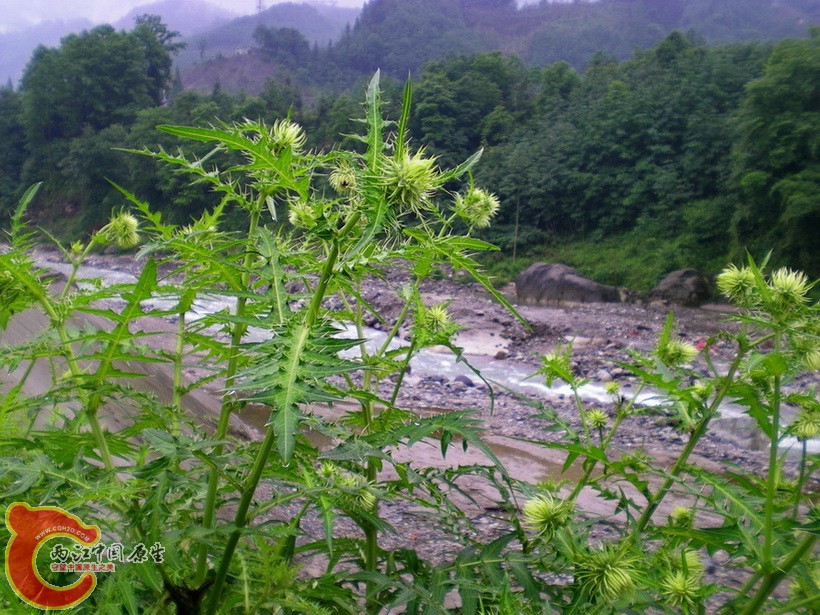 DSCN4417.JPG