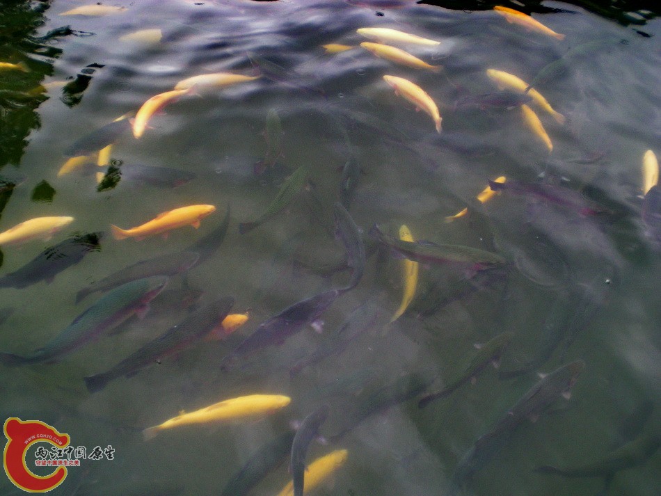 DSCN4421.JPG