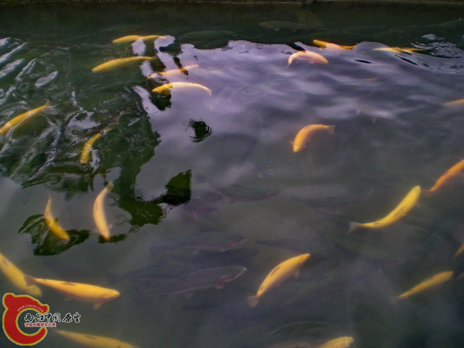 DSCN4423.JPG