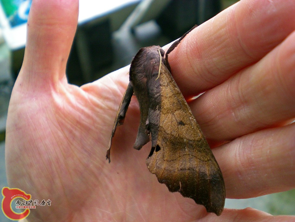 DSCN4429.JPG