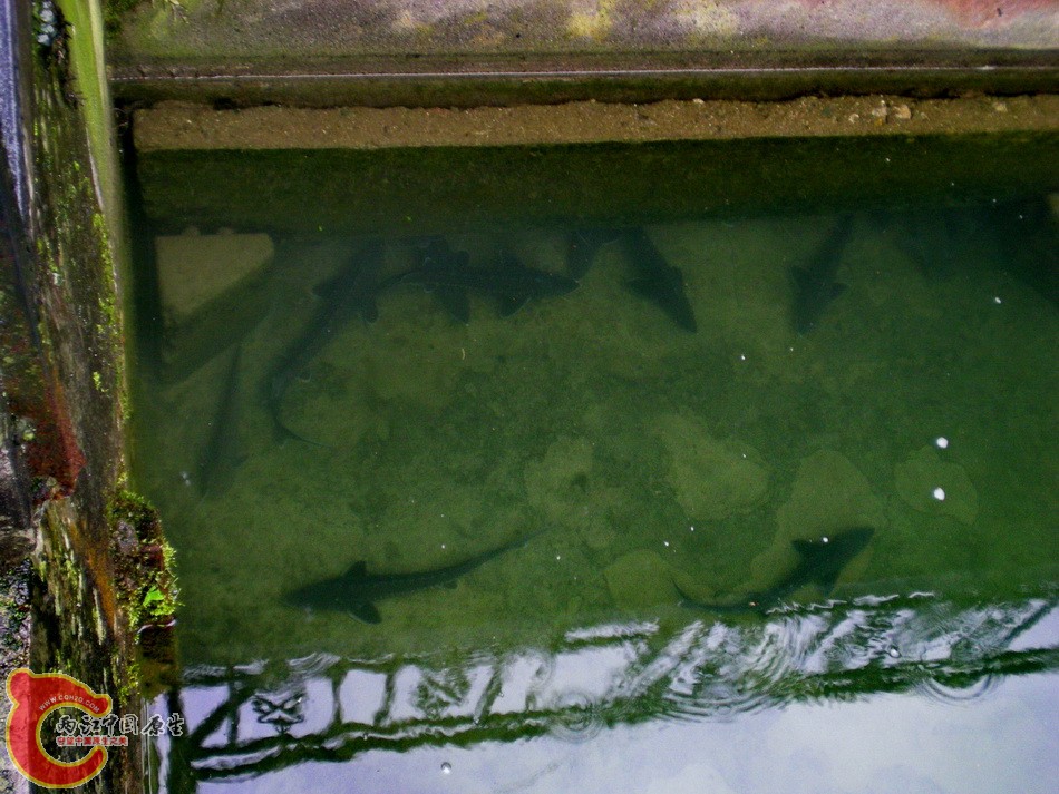 DSCN4438.JPG