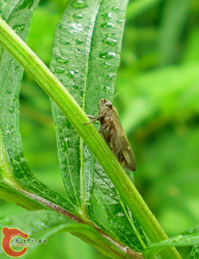 DSCN4440.JPG