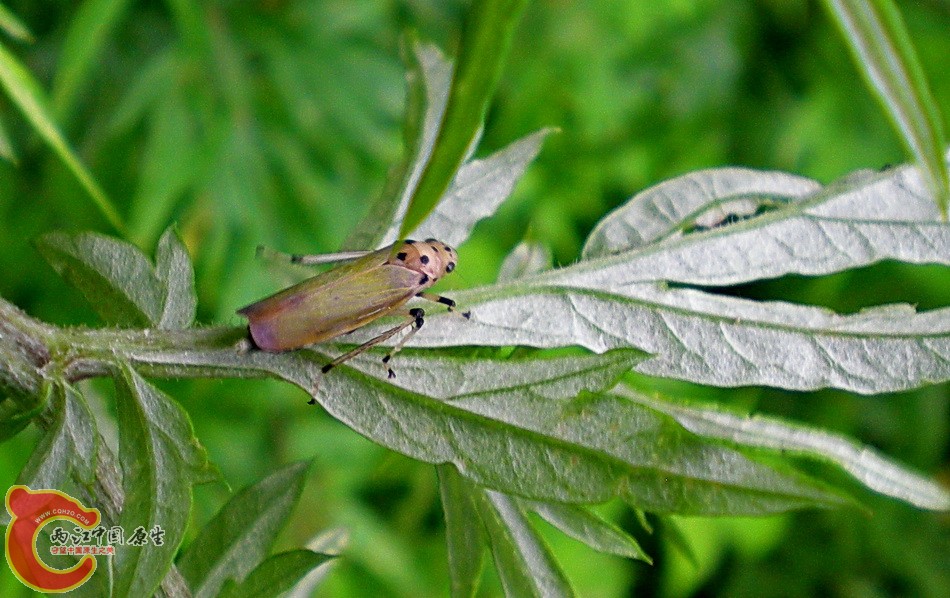 DSCN4447.JPG