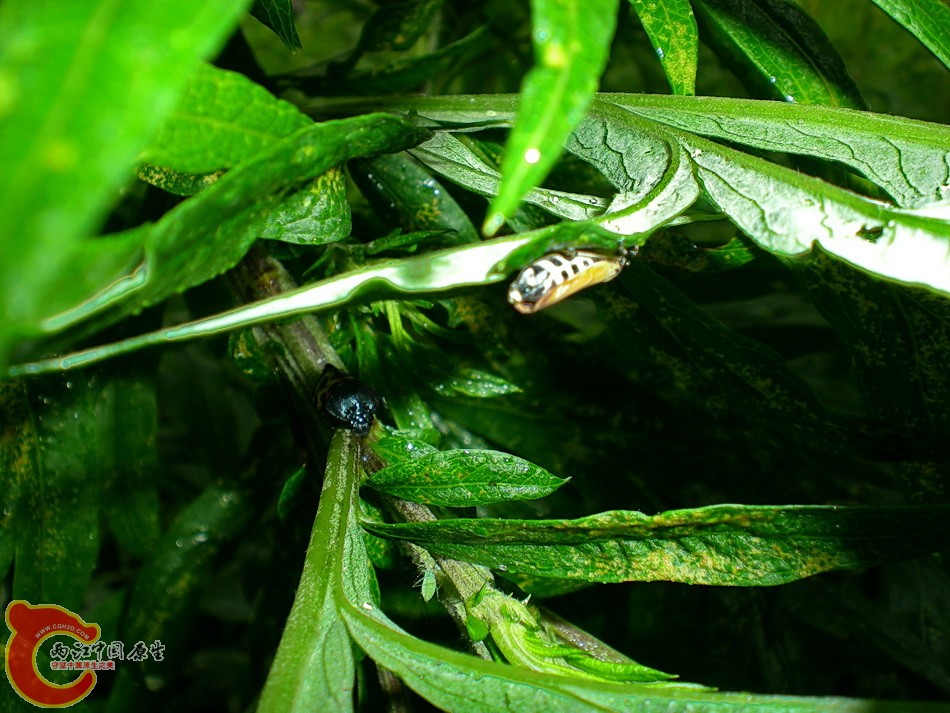 DSCN4456.JPG