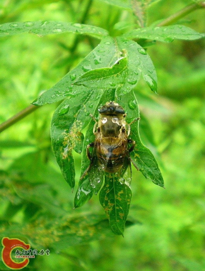 DSCN4459.JPG