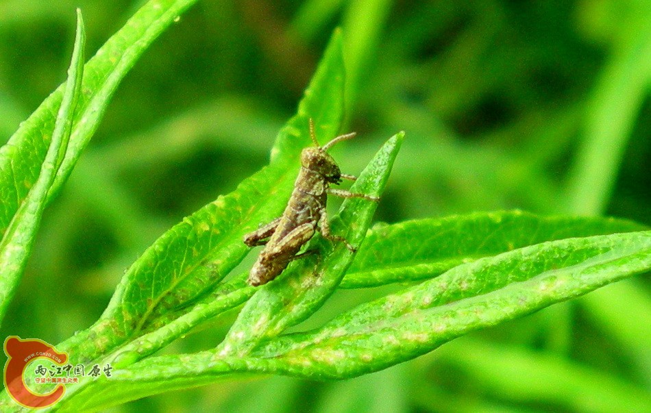 DSCN4462.JPG