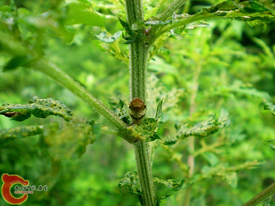 DSCN4465.JPG