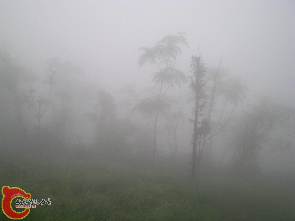 DSCN4470.JPG