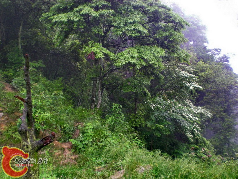DSCN4472.JPG