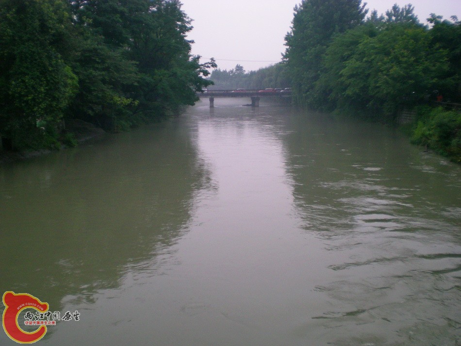 DSCN4488.JPG