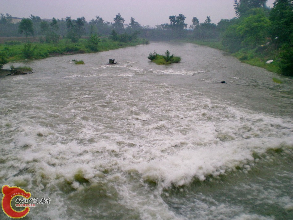 DSCN4489.JPG