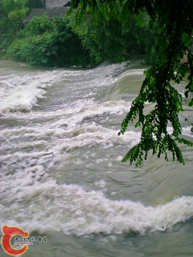 DSCN4490.JPG