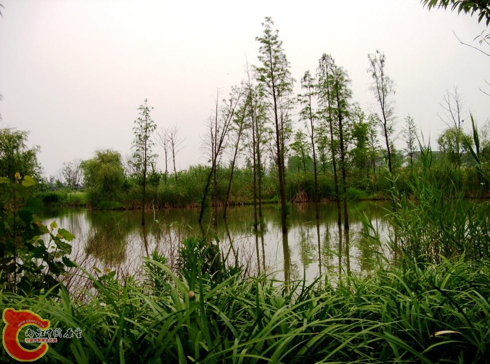 搜狗截图_2012-06-04_16-04-03.jpg