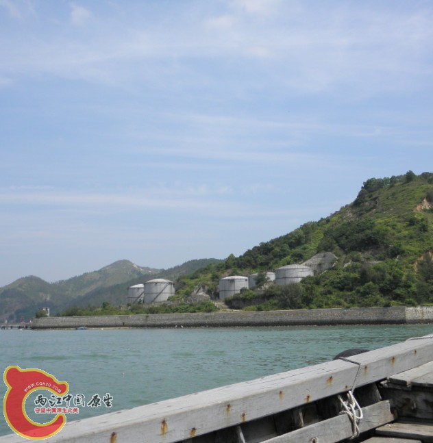 04.jpg