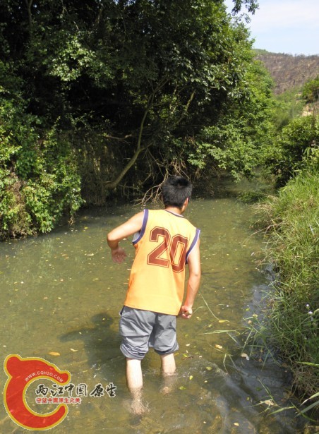 17.jpg