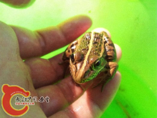 dcim@camera@2012-06-04 15_34321.jpg