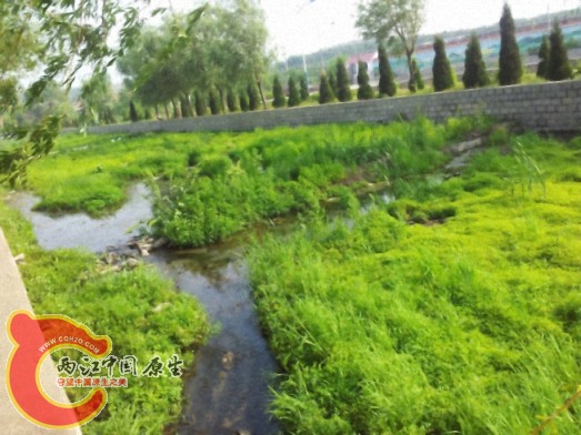 dcim@camera@2012-06-04 15_34481.jpg