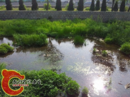 dcim@camera@2012-06-04 15_34491.jpg