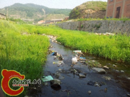 dcim@camera@2012-06-04 16_34511.jpg