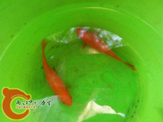 dcim@camera@2012-06-04 17_34571.jpg