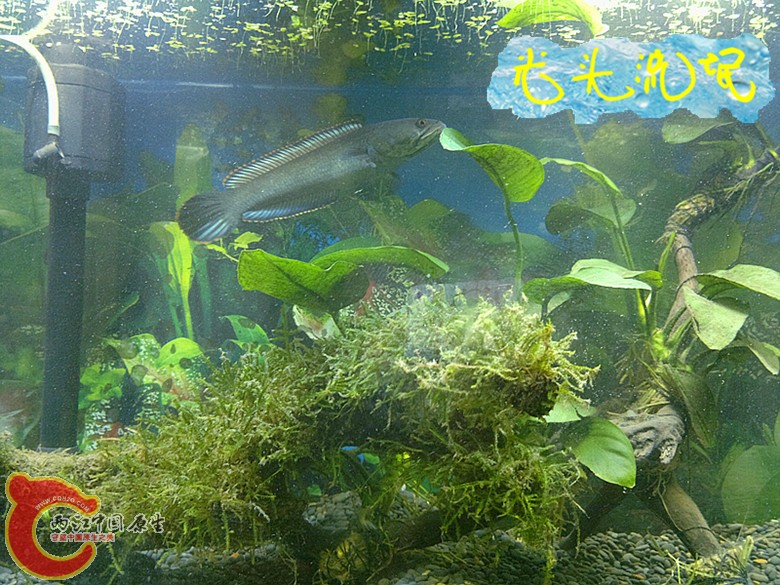2012年04月20日5.jpg