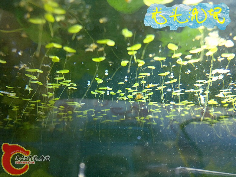 2012年04月22日.jpg