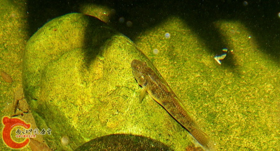 DSCN4507.JPG