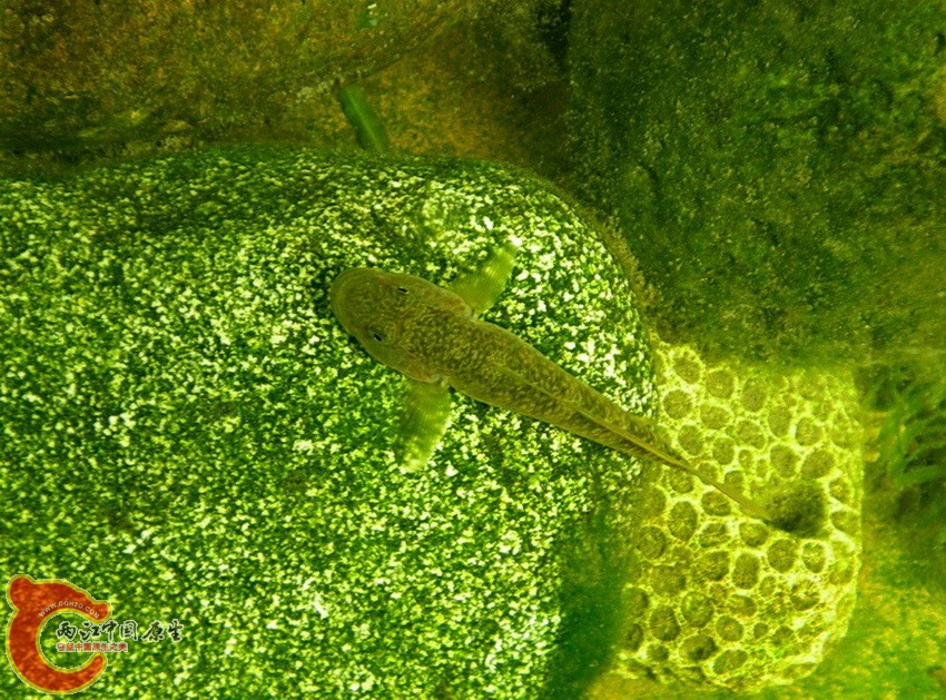 DSCN4535.JPG