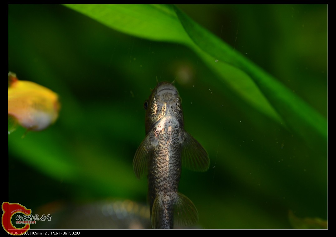 DSC_1836.jpg