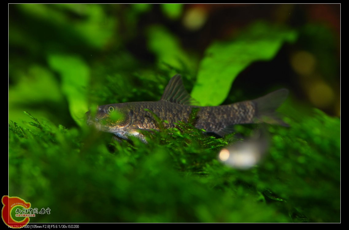 DSC_1922.jpg