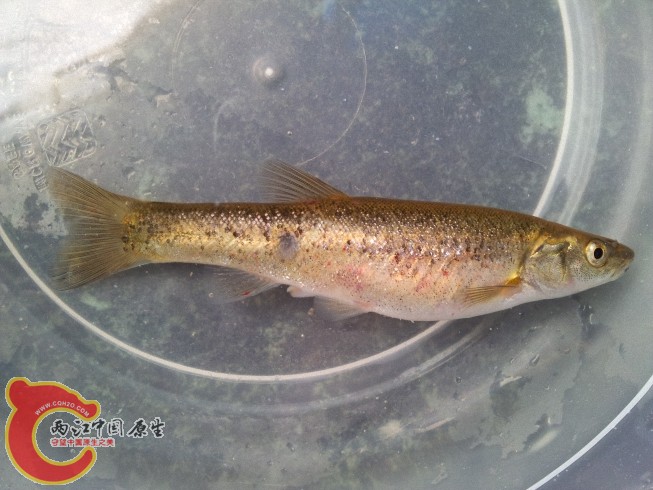 2012-06-07 12.09.24.jpg