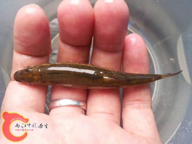 2012-06-07 12.10.18.jpg