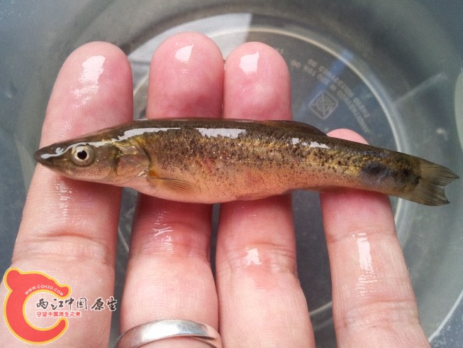 2012-06-07 12.10.10.jpg