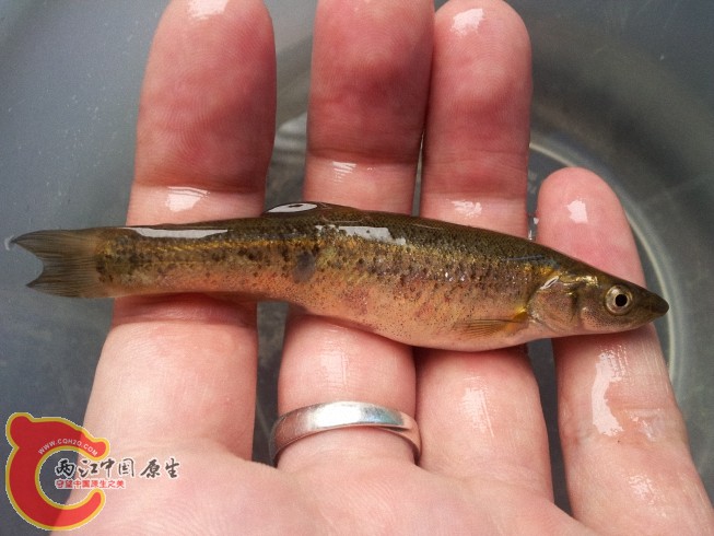 2012-06-07 12.10.30.jpg