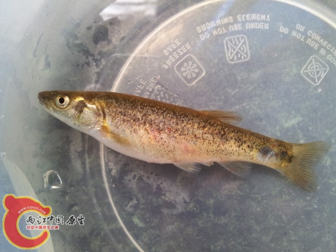 2012-06-07 12.11.18.jpg