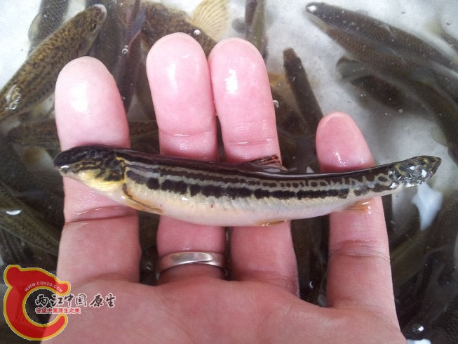 2012-06-07 14.43.20.jpg