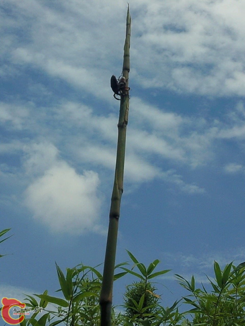 SNC02258.jpg