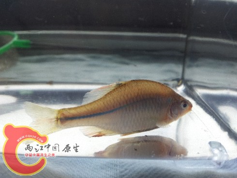 2012-06-02 09.58.35.jpg