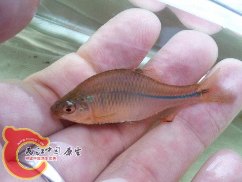 2012-06-02 10.04.20.jpg