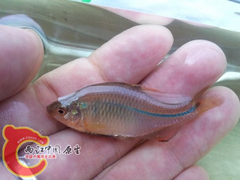 2012-06-02 10.04.36.jpg