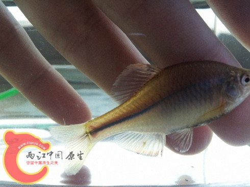 2012-06-02 10.11.34.jpg