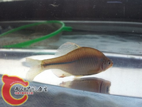 2012-06-02 10.07.16.jpg