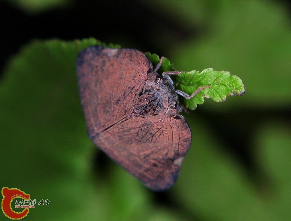 2012.06.08 066.jpg