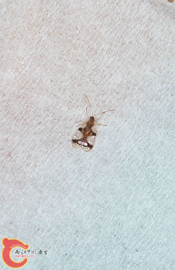 2012.06.08 022.jpg
