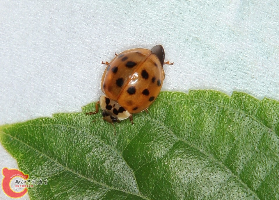 2012.06.08 032g.jpg