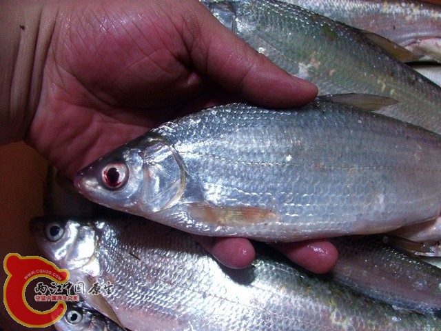 照片 014.jpg
