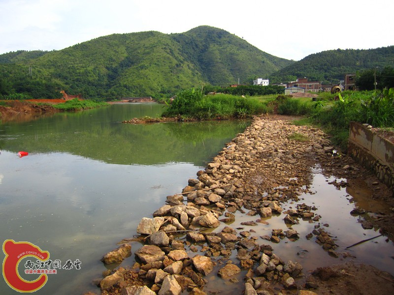 IMG_4558_副本.jpg