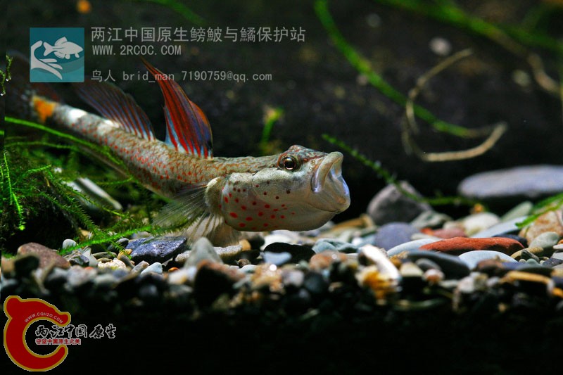 护卵前半个月拍的照片